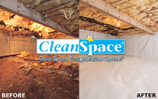 Crawl Space Repair is a Prime Necessity for Homeowners